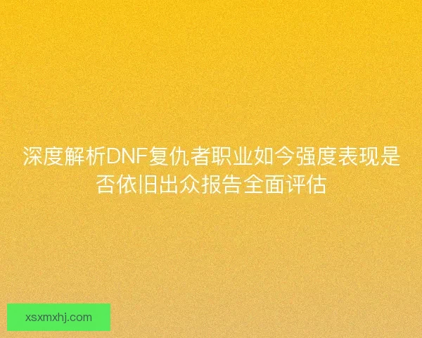 深度解析DNF复仇者职业如今强度表现是否依旧出众报告全面评估